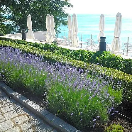 Szálloda Hvd Boutique Oasis - Private & Free Parking Aranyhomok